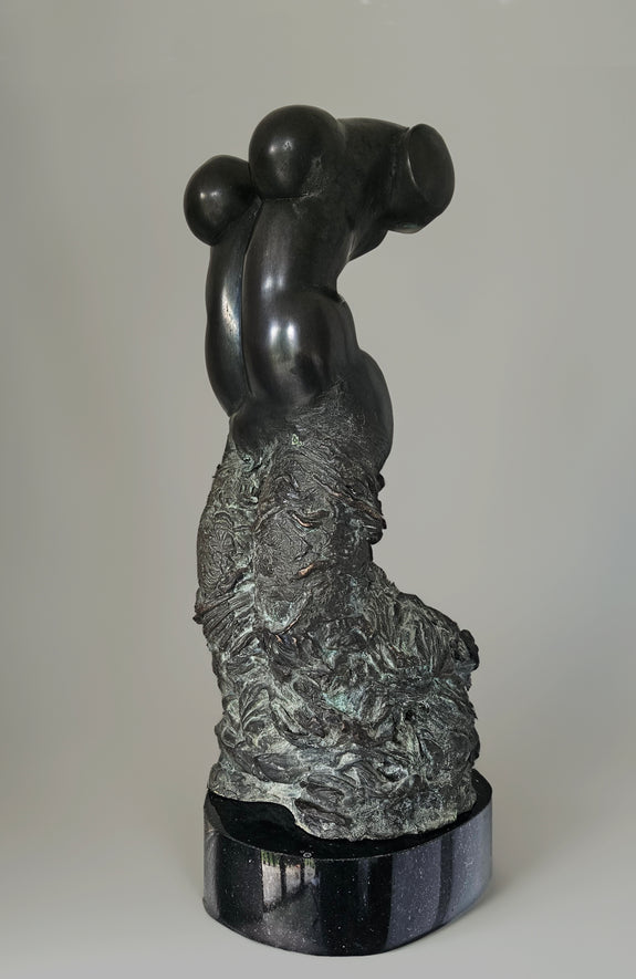 Close-up view of a bronze sculpture portraying a female dancer’s torso. The artwork emphasizes the dancer’s muscular curves and features a contrast between the polished upper body and the detailed, textured lower half.