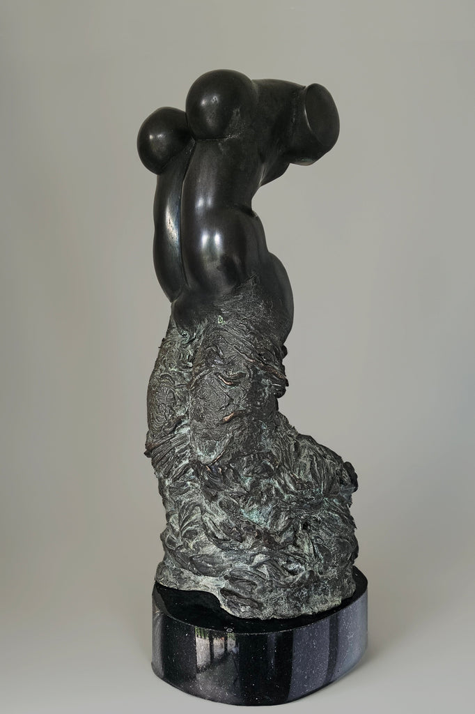 Close-up view of a bronze sculpture portraying a female dancer’s torso. The artwork emphasizes the dancer’s muscular curves and features a contrast between the polished upper body and the detailed, textured lower half.