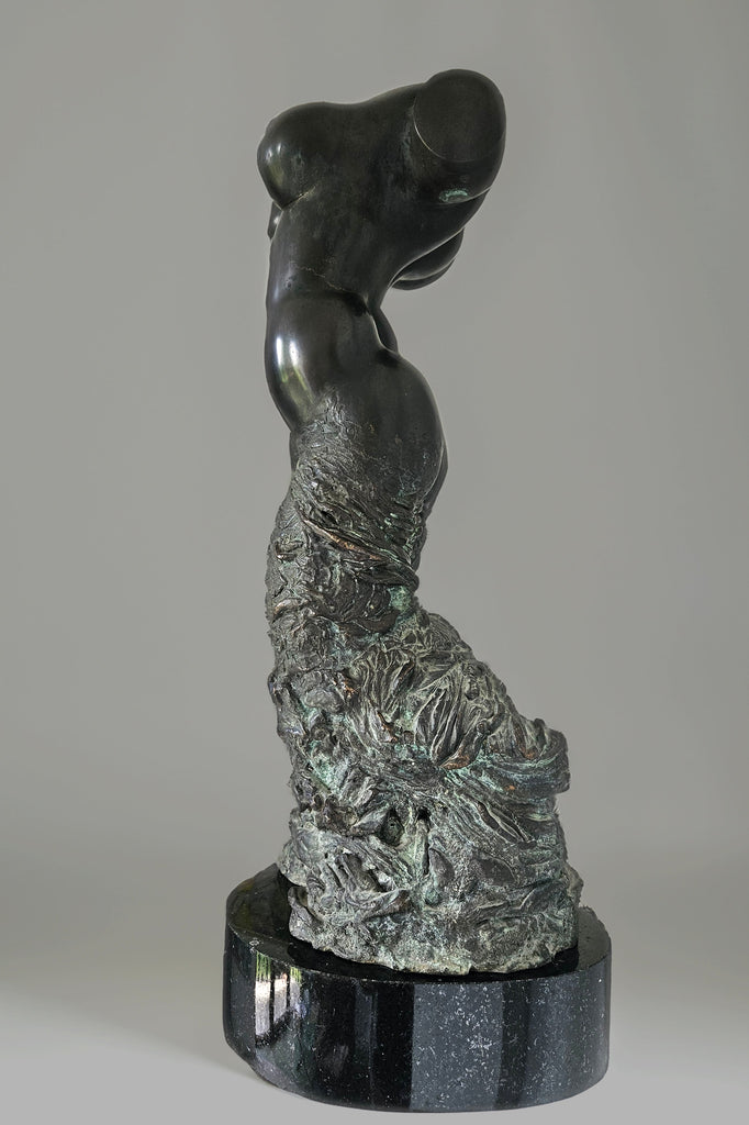 A 1995 bronze sculpture by Aloyzas Smilingis-Elis, depicting the torso of a female dancer. The upper body is polished and smooth, while the lower section has a textured, organic pattern. The piece is mounted on a dark, round base.
